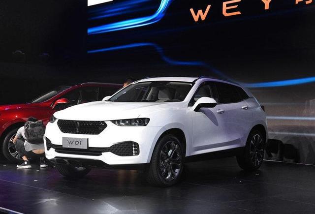 别以为你穿上马甲我就不认识你了-WEY VV7