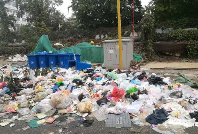 保定一百余米小街现数十米长垃圾带,数字城管