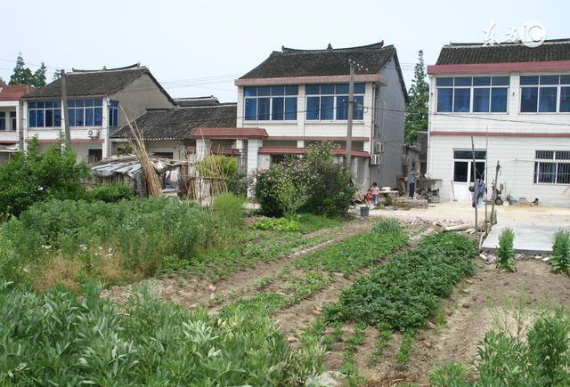 新农村建设又增新补贴, 每户可领1万元了还有