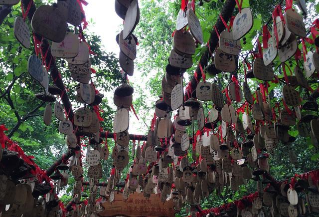 大家都来说说看!是广州白云山好玩,还是洛阳白
