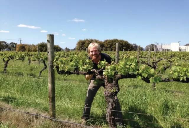 一篇文章盘点澳大利亚最古老的葡萄酒庄