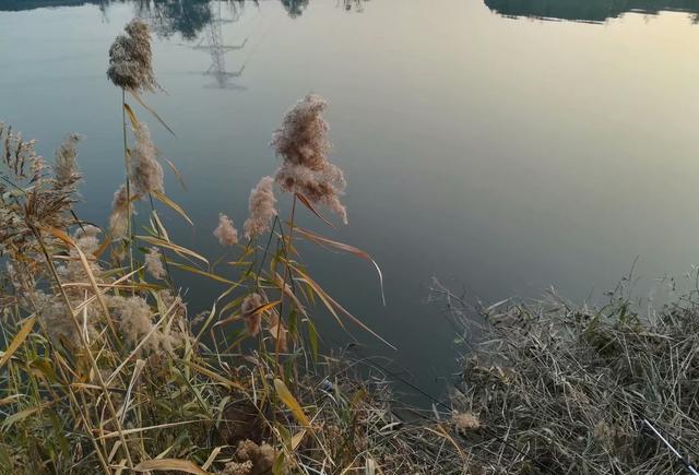 清河边上的钓鱼人