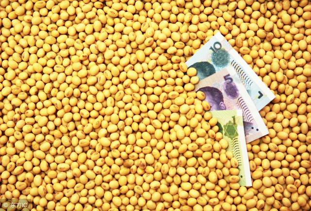 下半年大豆价格还会涨吗?2018年黄豆行情预测