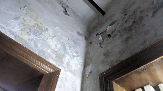 为什么都说电梯房一楼和顶楼不能买?过来人说