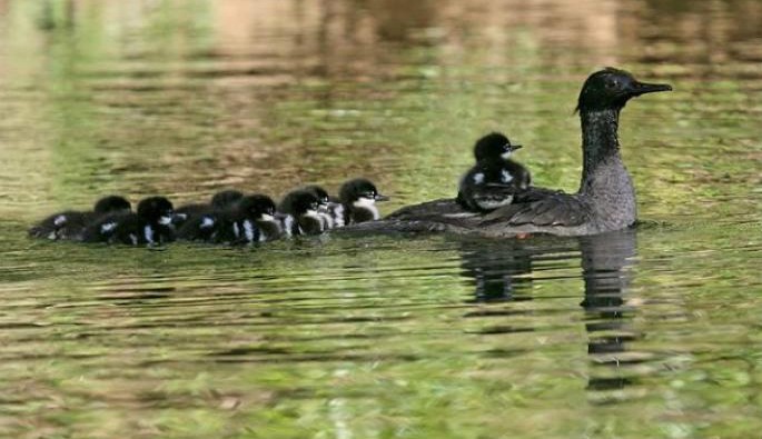 给大家分享一个真实的故事, 充满亲情, 感人肺腑