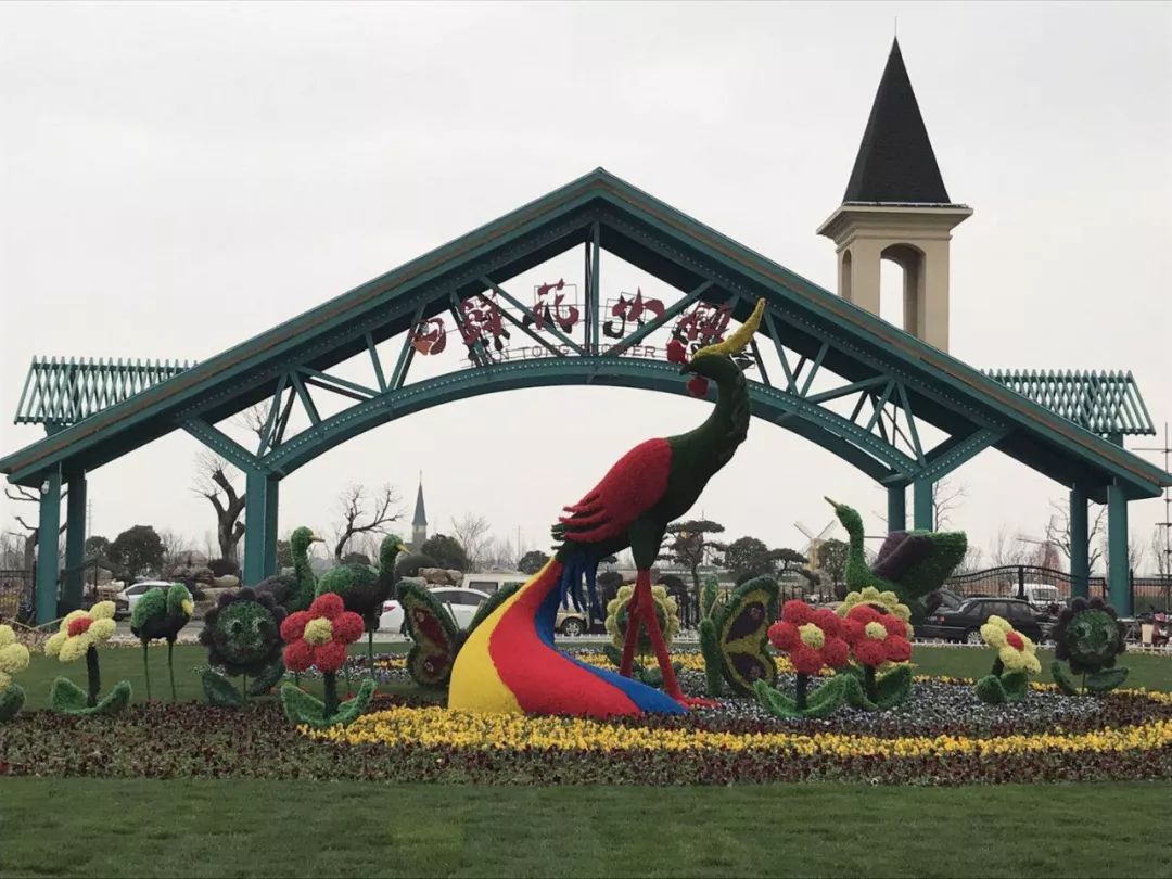 3月31日南通鲜花小镇花海绽放!300万株郁金香