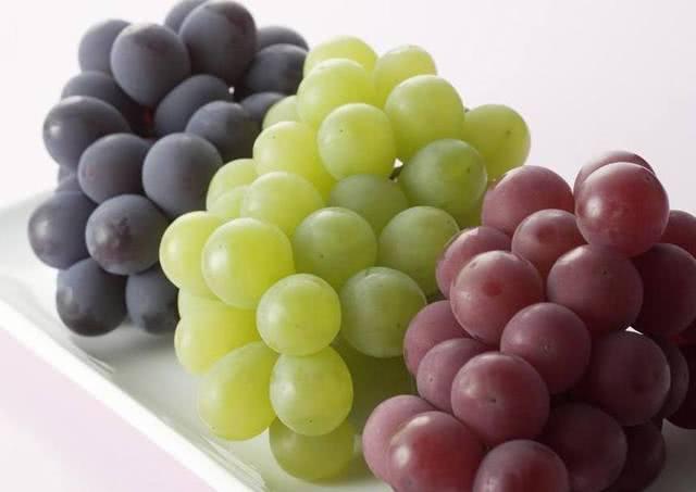 全球公认十种营养价值最高的水果,平时吃的到