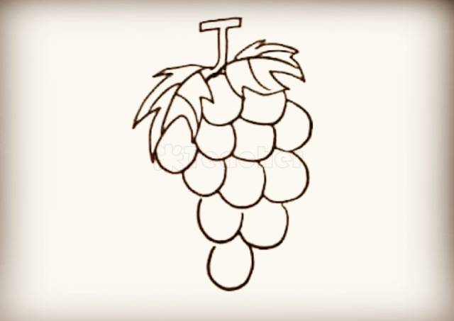【绘画教程】简单易学!各种水果蔬菜的简笔画