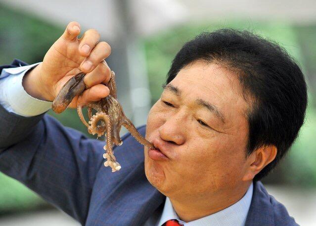 韩国人用美食在吃生章鱼为了保持鲨鱼的原汁原味v美食生命皮图片