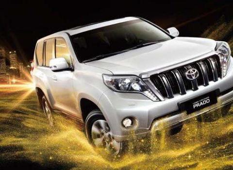 这车外观大气，底盘高，都说这是“神车”，商务家用两相宜