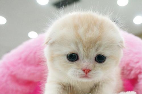 一个人生病的图片可怜