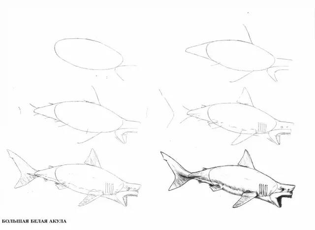 【绘画教程】简单易学的海洋生物简笔画教程(