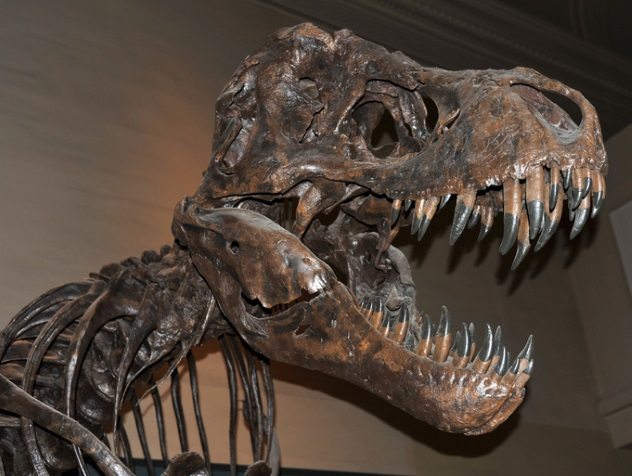真正的恐龙比电影中更恐怖的10个原因人类很难战胜它们