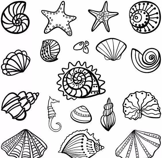 海底生物简笔画