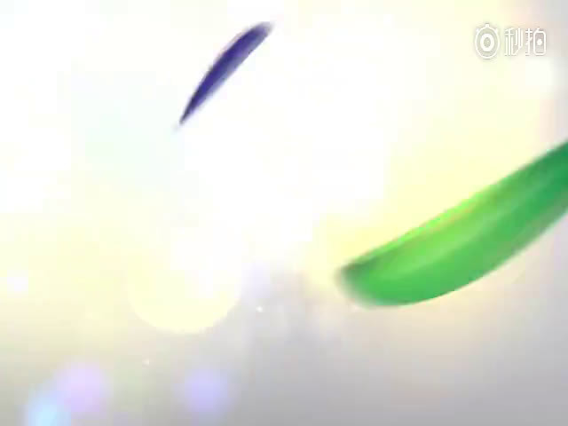 海南首期小客车“摇号”中签率80.3% 第二期将于9月26日举行