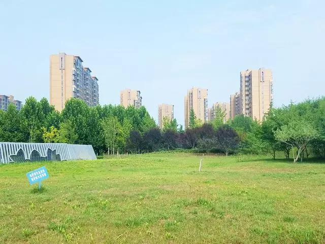 金华7个县市人均GDP排名:义乌9万,永康仅4万