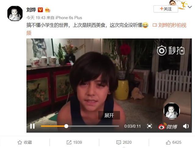 刘烨晒儿子视频，如今的诺一不仅头发长，皮肤黑