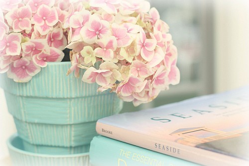 重生嫡女之一品凰妃最新章节_连似月小说全文