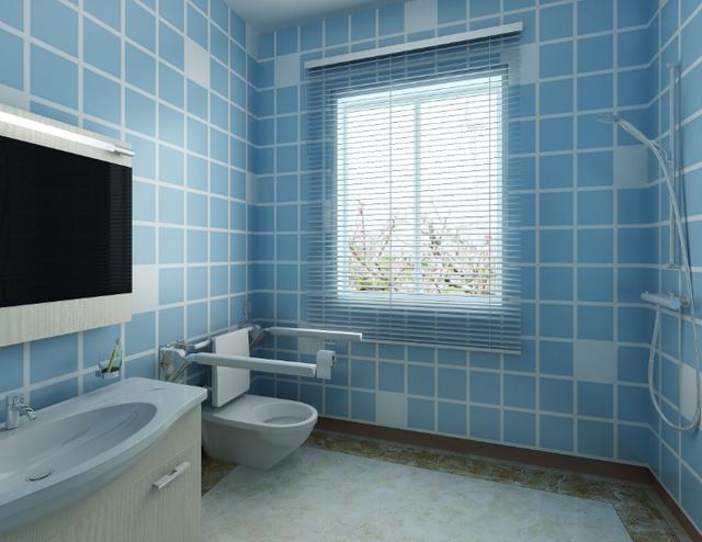 卫生间做干湿分离玻璃浴房好还是浴帘?尤其是