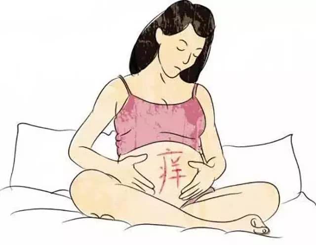 孕妇的肚子痒是无法忍受的,所以她应该小心处