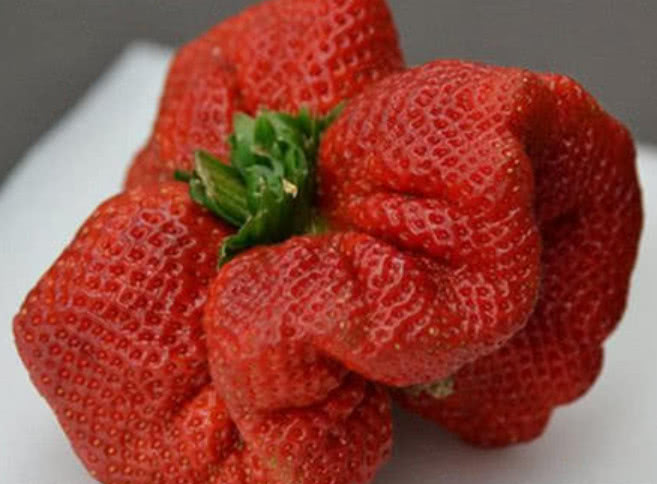 世界上最"奇葩"的几种草莓,图二最大,图三最黑,你吃过