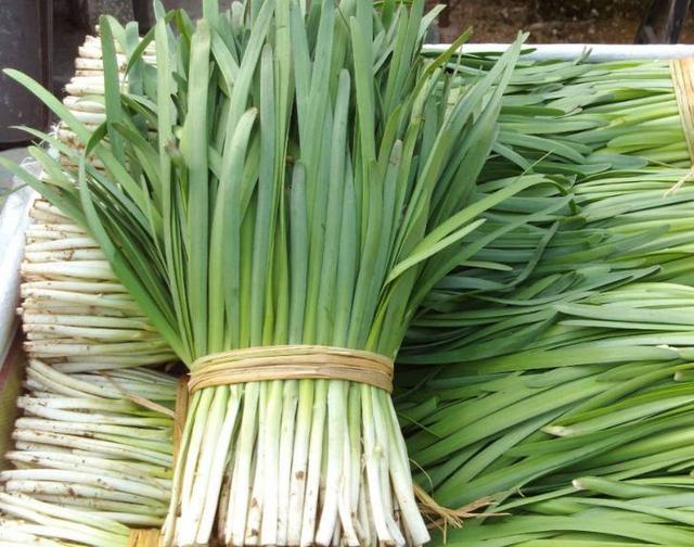 原来韭菜和它才是绝配,男人吃了排毒养肾,女人