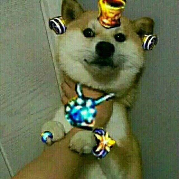 DNF: 肝帝30角色巨龙票循环深渊日常