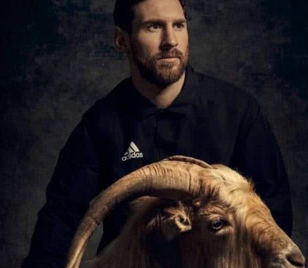 世界杯进球花式庆祝动作,普京摊手解尴尬,c罗捋山羊胡