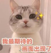 天河体育中心今起大改造!球迷盼了多年的换座