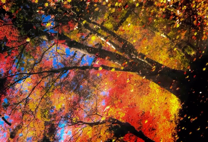 烟光凝而暮山紫,涝水尽而寒潭清