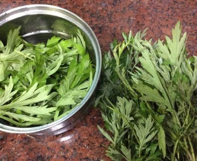 5年老鼻炎,不到6天治好了,用的只是艾叶和醋,方