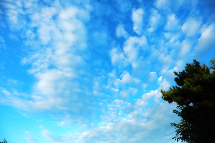 蓝天白云,是这个世界上最美的风景