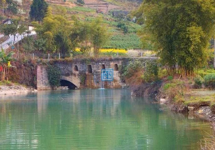 小溪入水口,探钓野生石斑鱼,500元一斤的名贵