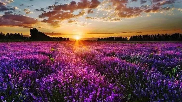 武汉最适合约会的好地方.前提你要有一个技术