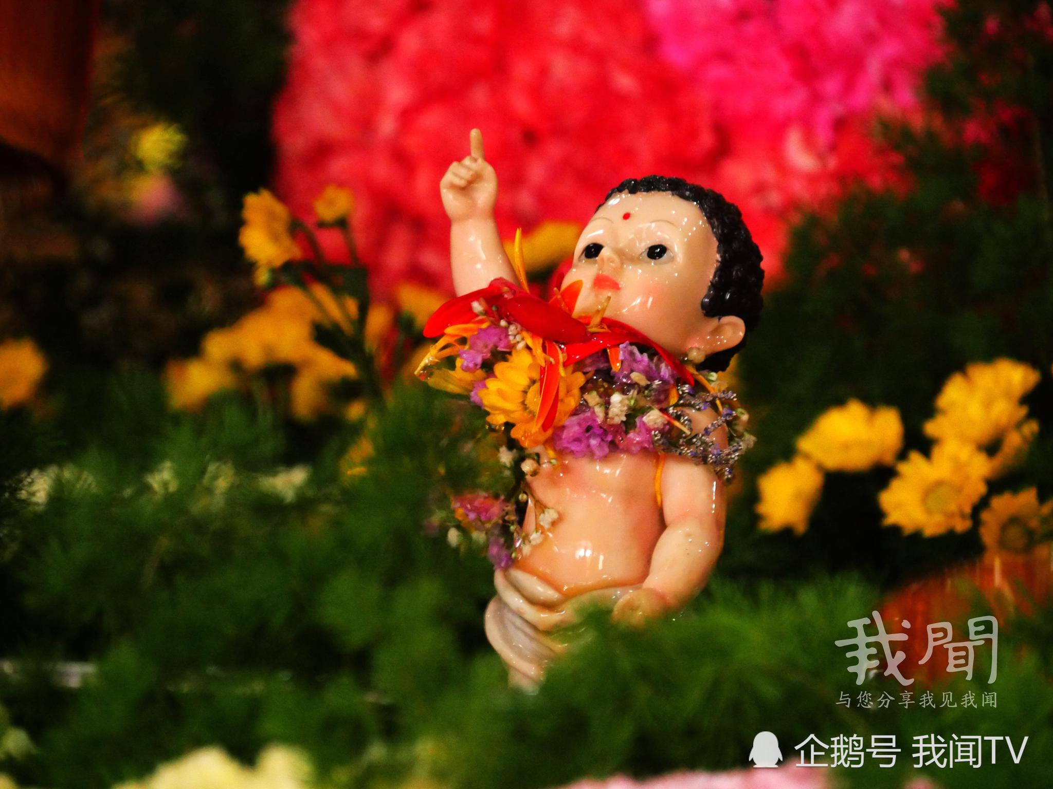 八佛诞节,看看佛教徒如何为佛祖庆祝生日