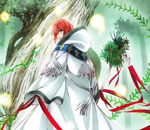 《魔法使的新娘》--少女漫之外的惊喜