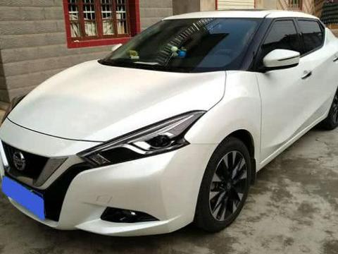 农村小伙11万喜提日产蓝鸟，不料回家后亲戚们看到车尾都笑话他！