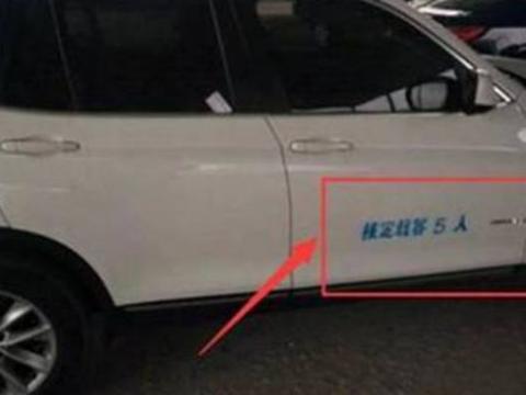车管所“喷字”又出新招，10万瑞风S7中招，汉兰达车主：不去了