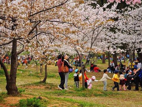 最是一年春好处，春季踏青你还需要这样一辆车