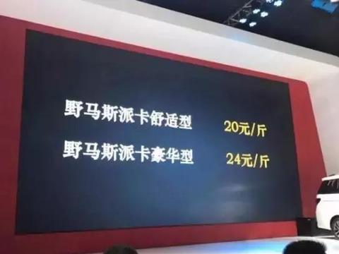 20块一斤! 国产野马在车展上论斤卖! 买到赚到?