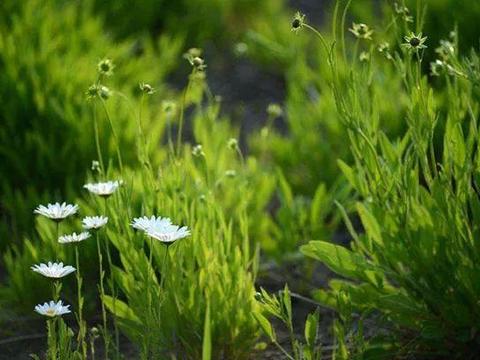 经历20个月迎来全新升级的它 ，究竟能给我们带来怎样的惊喜？