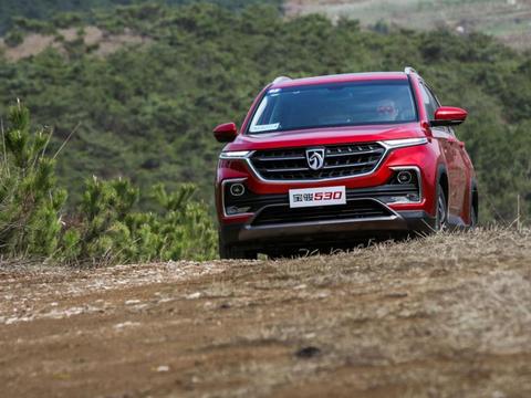 不仅仅有霸气的名字，这样的“型鲨”你见过吗？