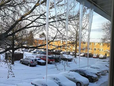 斯巴鲁森林人汽车怎么样？