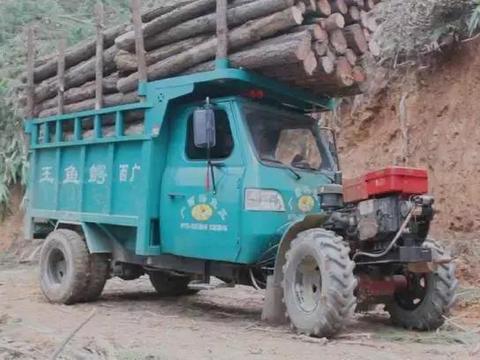 菠萝胎！比陆巡还“野”，还配有空调，关键才3万块！