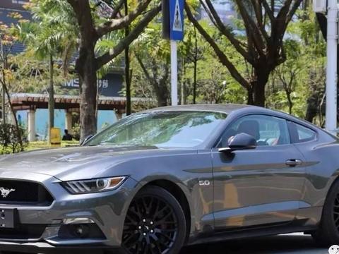 爱上一匹野马, 可我的家里没有油田!