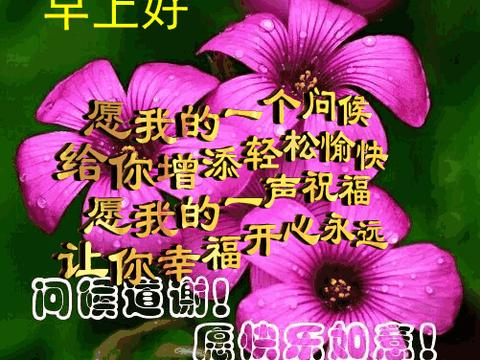 送上,群聊,不用打字就可以聊天的表情包大全!太美了,请收下