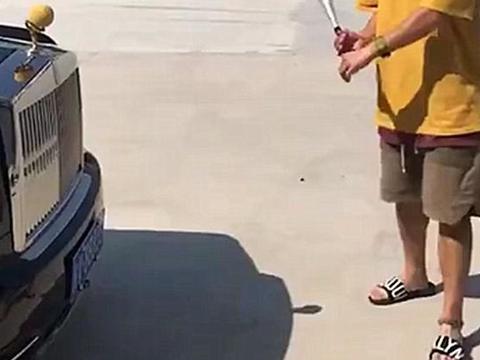 “劳斯莱斯“有新的文章更新，请注意查收