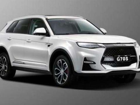 国产又一神车诞生了! 车标很少见, 外观比奥迪漂亮, 12万起售!