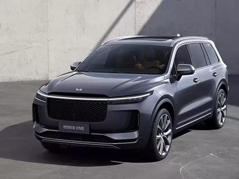 续航超700公里，补贴前40万元内，这款车能否成为“中国特斯拉”