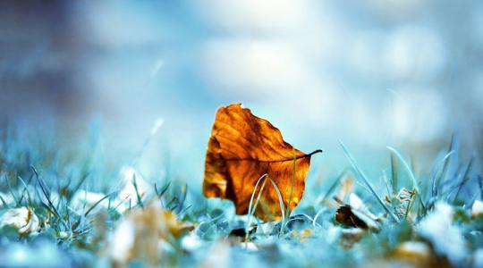 荨麻疹来了不要怕,教你几个简单有效的小妙招